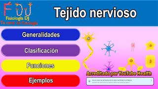 Tejido nervioso  Tejido nervioso neurona y neuroglia  Tejidos cuerpo humano [upl. by Trow]