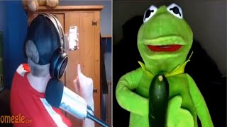 Kermit takes picture with fan on omegle [upl. by Erdried]