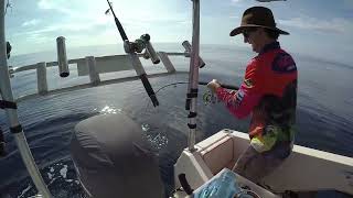 Reef Fishing off Townsville [upl. by Filmer739]