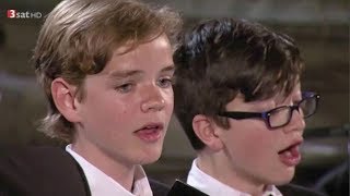 BACH Cantata BWV 172  Elias MÄDLER amp Lionel WUNSCH  Duet quotKomm laß mich nicht länger wartenquot [upl. by Seaman]