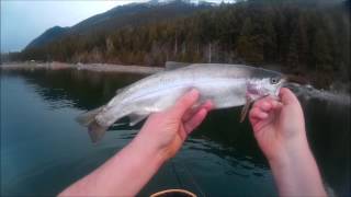 Fly fishing Lazy Lake East Kootenays Bc [upl. by Rhyner]