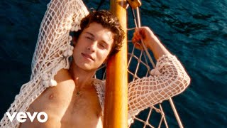 Shawn Mendes Tainy  Summer Of Love Official Music Video [upl. by Borchert324]