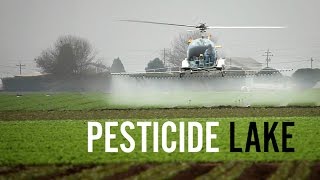 Pesticide Lake  The Poisoning of the Workers of Apopka Florida [upl. by Denise620]