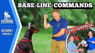 Four Critical Commands to Teach Every Doberman  Dobie Masters  S1E3 [upl. by Arst]