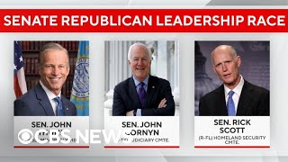 Rick Scott John Thune or John Cornyn could be next Senate majority leader [upl. by Atnoek]