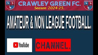 Brandon Carney 2nd Goal for Crawley Green MK Irish 23rd Nov 2024 [upl. by Nwahsud417]