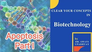 Apoptosis Introduction [upl. by Namref]