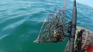 Kingfisher Kayak in the Puget Sound  Testing Experimental Shrimp Trap [upl. by Eziechiele]