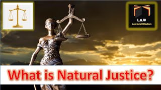 What is Natural Justice  Legal System  LLBII  UrduHindi [upl. by Stedman387]