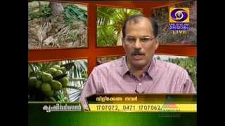 KRISHI DARSHAN Soil fertility management in Coconut cultivation [upl. by Getter214]