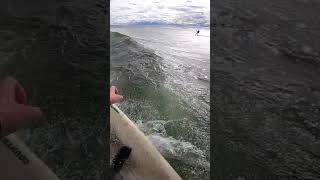 Surf Lake Michigan  Subscribe  greatlakes greatlakessurfing greatlakesurfer [upl. by Oflodur381]