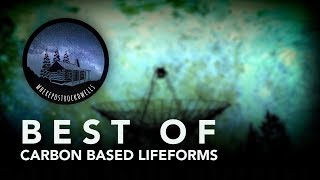 Best of Carbon Based Lifeforms [upl. by Atneuqal]