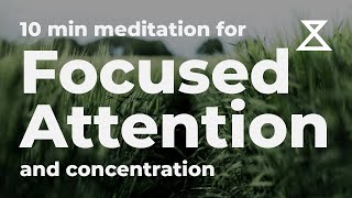 10 Minute Guided Meditation for Focused Attention and Concentration No Music Voice Only [upl. by Pevzner]