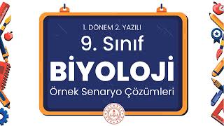 9 Sınıf Biyoloji 1 Dönem 2 Yazılı Örnek Senaryo Çözümleri [upl. by Ymme560]