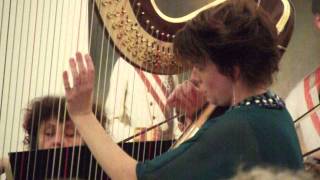 C Finch Celtic Concerto II Catrin Finch harp [upl. by Crawford375]