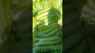 Loki kado re rate main izafa food sabzimandipeshawarfreshproduce shortvideo streetfood deraghaz [upl. by Tam421]