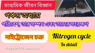 নাইট্রোজেন চক্র। মাধ্যমিক জীবন বিজ্ঞান। পঞ্চম অধ্যায়। WBBSE [upl. by Balf]