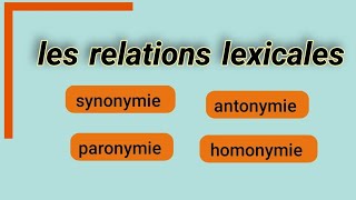 les relations lexicales synonymie antonymie  paronymie  homonymie [upl. by Natye]