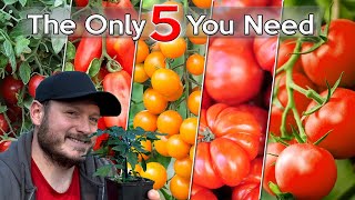 The Only 5 Tomatoes You Need To Grow This Year  Tomato Varieties For Every Recipe [upl. by Eirroc]