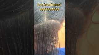 How to remove nits and lice nits hair headlice ytshorts peenu eeru [upl. by Ezarra]