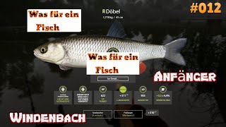 121RF4 Anfänger Was für ein Drill mit dem Döbel Russian Fishing RF4 Windenbach [upl. by Ttik]