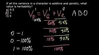 Phenotype and Heritability [upl. by Ninette]