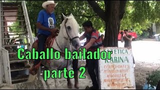 CABALLO BAILADOR PARTE 2 PATRON NETO DE APATZINGAN [upl. by Schumer]