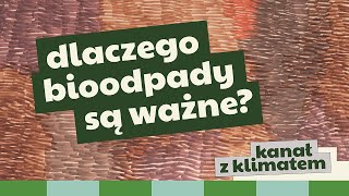 Co to są odpady bio Dlaczego są wartościowe i co z nich powstaje Animacja dla dzieci i dorosłych [upl. by Asirralc]