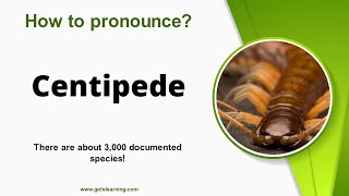 How to pronounce Centipede in English correctly [upl. by Cosmo]