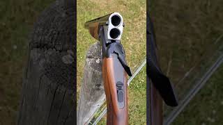 Fabarm Elos N2 RS is New for 2023 newgun shotguns shootingsports shotgunsports sportingclays [upl. by Fusco]