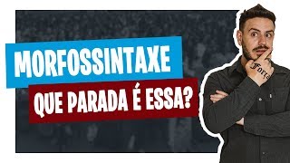 O QUE É MORFOSSINTAXE Pablo Jamilk [upl. by Shaff]