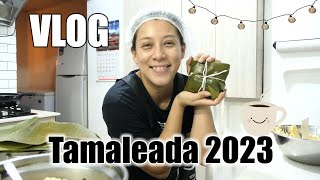 VLOG  tamales 2023  Fuimos de compras  pequeño haul [upl. by Adlemi]