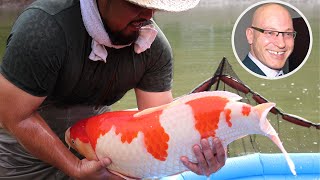 Growing your Koi Fast and Healthy How to choose the best Koi Food part 1 [upl. by Natika]