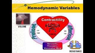 Hemodynamic Principles [upl. by Haziza]