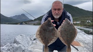 Shore Fishing For Plaice in Norway [upl. by Haldan]