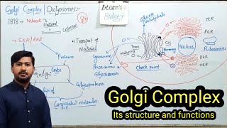 46 Golgi Complex golgi bodies  Golgi Apparatus  Dictyosomes  Fsc Biology class 11 [upl. by Aerdnad]