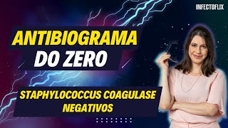 Dominando Antibiogramas do Zero  Staphylococcus coagulase negativo [upl. by Neelat]