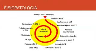 TROMBOEMBOLISMO PULMONAR cardio [upl. by Ayifas]