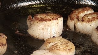 How to Cook Scallops [upl. by Nastassia]