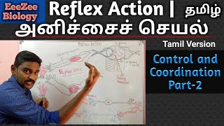 Reflex Action  அனிச்சைச் செயல்  Tamil Version  Control and Coordination Part2 [upl. by Ahiel]