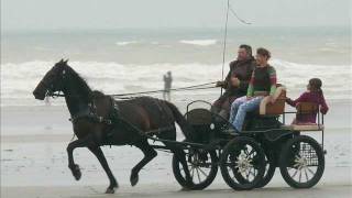 20110605  Clip  Nariolo fait le quotOUFquot sur la plage de Saint Aubin sur mer [upl. by Dichy]