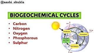 Biogeochemical Cycles  Carbon Nitrogen Oxygen Sulphur  Unit 2  Environmental Chemistry [upl. by Ailegave349]