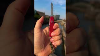 Victorinox sportsman Swiss Army Knife my edc [upl. by Rehnberg]