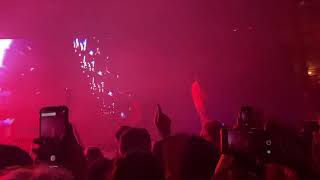 EDEN  projector  LIVE London No Future Tour  10032020 [upl. by Zobkiw]