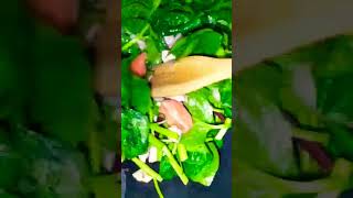 Cooking vegetables at home cookingathome ytshorts provincelife [upl. by Idnas651]