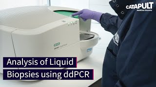 Analysis of Liquid Biopsies using ddPCR [upl. by Allenod767]