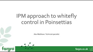 IPM approach to whitefly control in Poinsettias [upl. by Elenaj462]