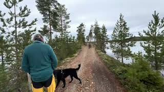 Tossjön the road in the lake Sweden [upl. by Eesdnil]