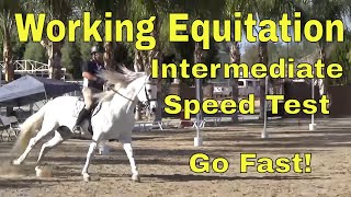 Working Equitation Intermediate Speed Howard Peet [upl. by Marena]