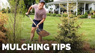 Mulching My Front Flowerbed  Mulching Tips  Gardening with Wyse Guide [upl. by Cusick]